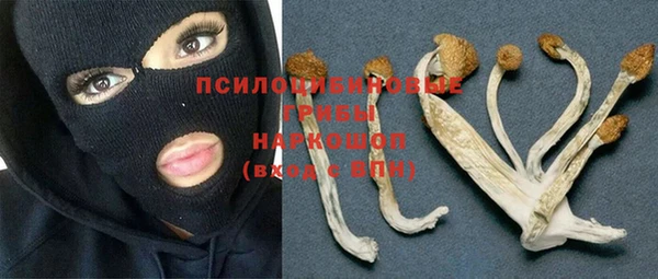 тгк Абдулино